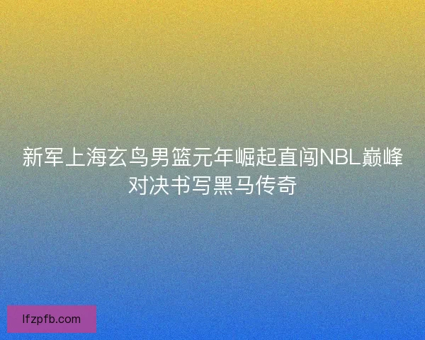 新军上海玄鸟男篮元年崛起直闯NBL巅峰对决书写黑马传奇