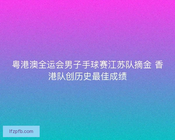 粤港澳全运会男子手球赛江苏队摘金 香港队创历史最佳成绩